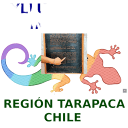 CAMPAÑAS MARKETING DIGITAL IDENTIDAD REGION TARAPACA CHILE